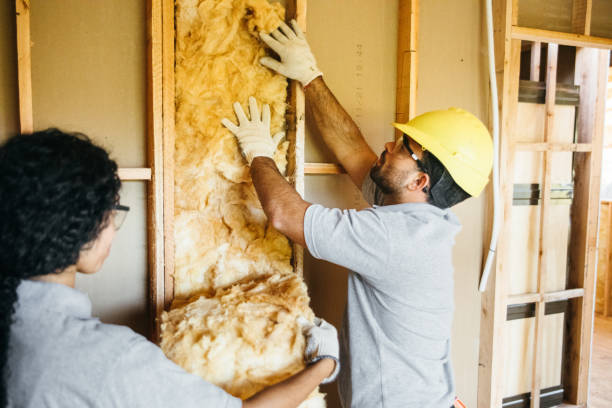 Trusted Altamont, IL Insulation Services Experts